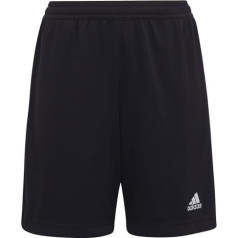 Adidas ENTRADA 22 Training Short Y H57498 / черный / 164 см