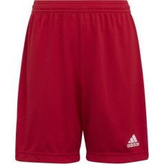 Šorti adidas ENTRADA 22 Short Y H57501 / sarkans / 128 cm