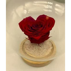 Kuppel mit ewiger roter Rose, ewige Rose, Herz, Valentinstag, wunderschöne Glaskuppel, rote ewige Rose, konservierte Blume, ewige rote Rose, konserviert in Spanien.