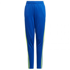 Adidas Squadra 21 Training Pant Youth Jr GP6449 / 164см