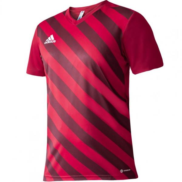 T-krekls adidas Entrada 22 Graphic Jersey Jr. H58983 / 164 cm