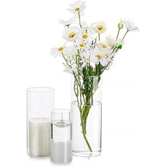 Glasseam Decorative Vase Glass Cylinder Table Decoration: 3 Pieces/Set Flower Vases Set Modern Glass Vase Round Glass Cylinder Flower Vase Tulip Vase Table Vase for Wedding Living Room Tulips Rose,