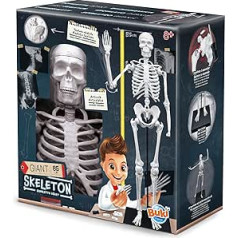 BUKI France 2181 Giant Skeleton 85 cm