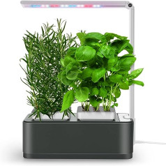 amzWOW Clizia Smart Garden — hidroponiskas kultivēšanas sistēmas ar LED augu lampu — automātiskais taimera dīgtspējas komplekts — ūdens trūkuma trauksme, uzzīmējiet paši savus aromātiskos augus mājās (Space Grey)