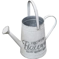 All Chic Watering Can Outdoor Garden Small Watering Can Indoor White Metal Watering Can Plant Flower Decoration