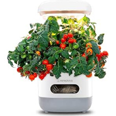 FAFAGRASS hidroponiskās pavairošanas sistēmas, viedais dārzs ar LED augu lampas ūdens tvertni, hidroponika lietošanai iekštelpās, regulējams augstums iekštelpu garšaugu dārzs, regulējams augstums