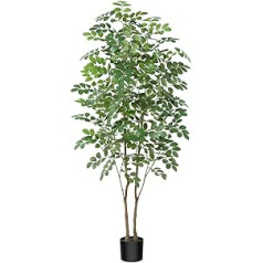 Kazeila Artificial Moringa Plant 150 cm Artificial Plant with Pots Artificial Plants Plastic Plants Artificial Tree for Living Room Bedroom Office Room Decoration (1 Pack)