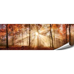 ARTBAY meža plakāts HD XXL panorāmas mākslas druka 118,8 x 42 cm zelta rudens saule dabas attēli Premium kvalitātes