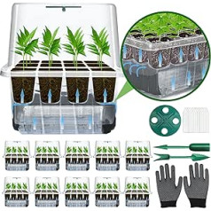 TZEKING Self-Watering Indoor Greenhouse Propagator Box, 10 Pieces, 120 Hole Mini Greenhouse Propagator for Growing, Mini Greenhouse Propagation Set, with 20 Plant Labels, 2 Garden Tools, 2 Gloves