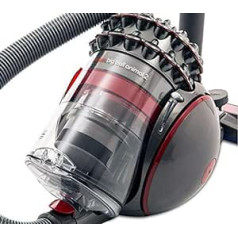 Dyson Big Ball Animal 2