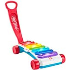 Fisher-Price — gaišs milzīgs ksilofons, elektroniska mūzikas instrumenta spēle ar mācību saturu, dziesmas zīdaiņiem, maziem bērniem 9 mēneši + (CZ, UK-EN, HU, PO, SL) HJK41