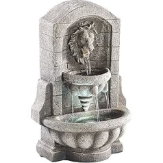 infactory Water Fountain Illuminated Indoor Fountain Lion Head with LED and Pump (Small Indoor Fountain)