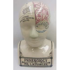 Large Ceramic Crackle Phrenology Head