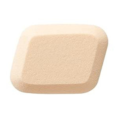 Shiseido Make Sponge Puff Artist Touch — 118