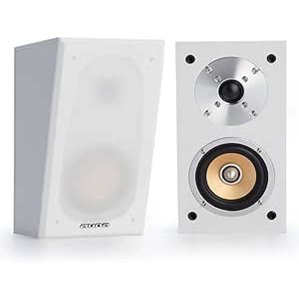 auna Divi Hi-Fi zemfrekvences skaļruņi, 60 W RMS pasīvais zemfrekvences skaļrunis, 100 W stereo skaļruņu kastes mājas kinozālei, mazs zemfrekvences skaļrunis ar spēcīgu basu, 10 cm HiFi zemfrekvences skaļrunis ar kompaktu dizainu un 2,5 c