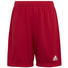 Шорты adidas ENTRADA 22 Short Y H57501 / красный / 176 см