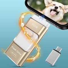 512 GB USB zibatmiņa tālrunim, Ryican 4-in-1 Memory Stick ārējās atmiņas paplašinājums operētājsistēmai iOS, USB 3.0 Photostick zibatmiņas disks Android mobilajam tālrunim/klēpjdatoram/personālajam datoram/pad, dati kopēti ar vienu klikš