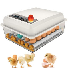 16 olu inkubators Pilnībā automātisks vistas digitālais automātiskais paipalu inkubators olu selekcionārs Inteliģentais motoru audzētājs vistu pīlēm Zosu mājputnu baložu paipalu olu audzēšanas mašīna