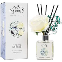 4SCENT Ocean Breeze Diffuser Kit 200ml Aromatherapy Essential Oil Diffuser Reed Diffuser Kit