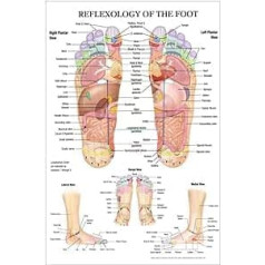 KaKille refleksoloģija pēdu akupunktūras punktu diagramma Anatomija Māksla Filma Audekls Glezniecība Mākslas Plakāta Druka dzīvojamās istabas dekorēšanai 20 x 28 collas bez rāmja