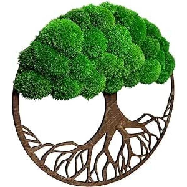 Wall Decoration Moss Pictures 40 cm in the Shape of a Tree - Beautiful Looking Wall Tree - Bring Life to Your Home - Wall Picture Made of Natural Raw Materials and Decorative Moss, Black