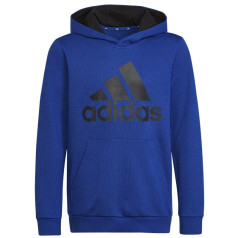 Adidas Big Logo Essentials Hoody Jr HN1912 sporta krekls / 122 cm