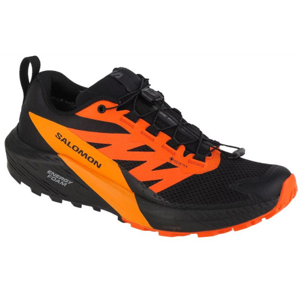 Salomon Sense Ride 5 GTX M 471473 / 43 1/3 skriešanas apavi