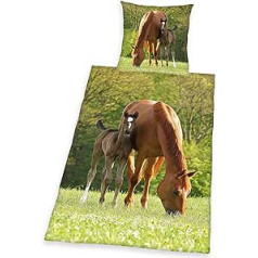 Herding Young Collection Bettwäsche-Set, Pferde Motiv, Bettbezug 135 x 200 cm, Kopfkissenbezug 80 x 80 cm, Baumwolle/Renforcé