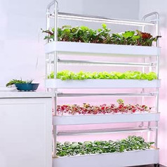 ANXYYDS hidroponiskā audzēšanas sistēma ar automatizētām LED augšanas gaismām, vertikāla lauksaimniecība iekšdārza tornī, bezaugsnes daudzslāņu inteliģentās audzēšanas ierīces, 48 caurumi