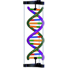 DNS Double Helix modeļa studentu komplekts