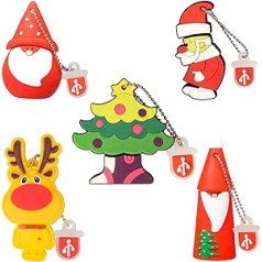 Leizhan USB Flash Drive 16 GB Memory Stick Santa Claus Elk Cute Christmas Series Gift for Students and Children Pack of 5