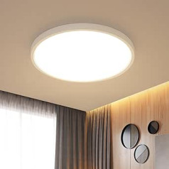 Delaveek LED griestu lampa 24W IP44 īpaši plāns diametrs 30cm apaļš moderns apgaismojums 2700LM 3000K silts apgaismojums vannas istabai guļamistaba virtuvei viesistabas balkons