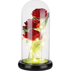 Générique Rose Belle et la Bete, Romantisches Geschenk für sie, leuchtende Seidenrose mit LED in einer Kuppel aus Glas