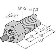 6870464-FCS-GL1/2A4-NAEX/A/D100,Strömungsüberwachung Eintauchsensor