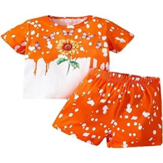 Children's Animal Park Clothing Kids Toddler Baby Girl Spring Summer Print Cotton Sunflower Short Sleeve T-Shirt Shorts Outfits Clothes Baby Boys Clothing Sets (Orange, 2-3 Years)