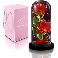 Hostreat Infinity Roses, mūžīgā roze stiklā ar LED gaismu, sarkanas rozes zīda ziedi, konservētas rozes dāvanas sievietēm, draudzene, māte, Mātes diena, jubileja, dzimšanas diena, Valentīna diena,