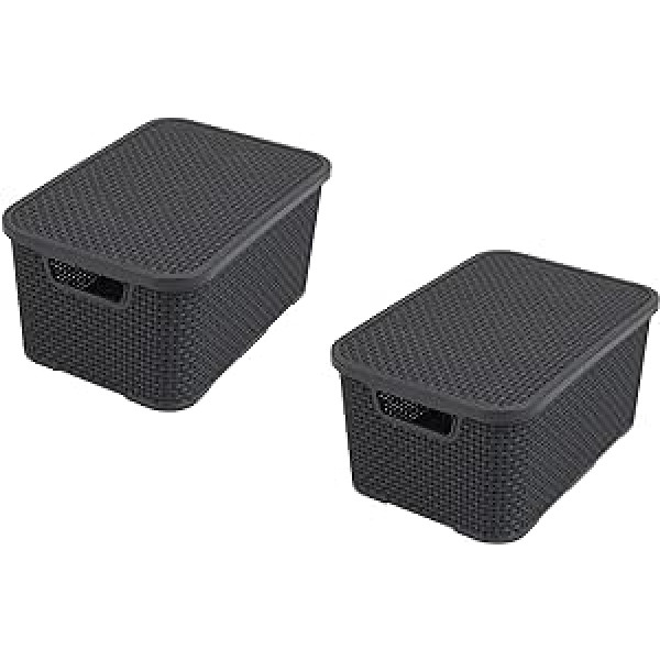 BranQ Home Essential Lid Basket in Rattan Design, Set of 2, Size M 10 L, Polypropylene, Plastic, Anthracite