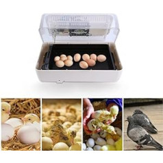 Gootop 80W 24 Eggs Incubator Digital Display Automatic Control for Poultry Eggs Birds Chicken Duck Geese 43*19*22cm