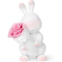 roseonly. Eternal Rose with Cute Rabbit, Preserved Roses, Infinity Rose Rabbit Figure Gifts for Women for Birthday, Valentine's Day, Christmas, Mother's Day, Anniversary (Mini, White/Pink)