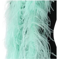 Ostrich Feather Boa Fluffy Natural Craft Beautiful Plum Scarf Dyed DIY Carnival Party Clothes Bags Shoes Decorative Accessories 6 Ply/2 Meters (Color: Mint Green, Size: 6 Ply)