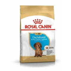 Royal Canin Shn Breed Taksis Jun barība 1,5 kg