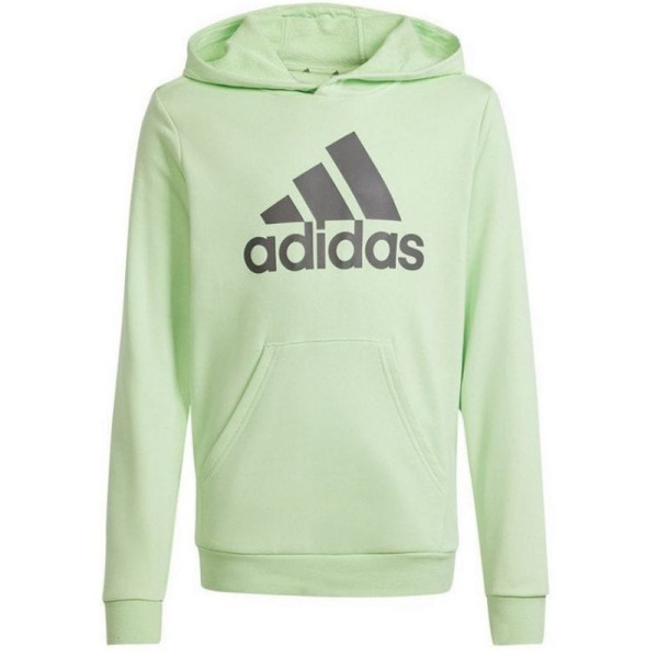 Adidas Big Logo Hoodie Jr IS2591 sporta krekls / 164 cm