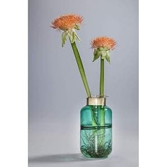 Kare Positano Belly Design Vase, Glass Vase for Living Room, Decorative Glass Accessory, Flower Vase, Green, 28 cm