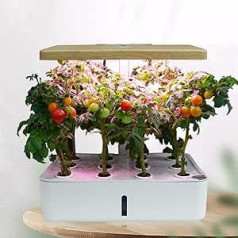 MTSYXYM Hydrokultur-Anbausystem,Hidroponic Grow Kits, Erdloser Anbau, Garten-Aeroponik-Wachstumsset,für Kräuter,Obst Und Gemüse,mit Hydratationspumpe, Adapter, Netztöpfen, Timer.