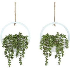 Hobyhoon Hanging Plant, Artificial Plants, Succulents in Pot, 31 cm, Fake Plants Decoration for Living Room, Dade Room, Kitchen, Windowsill, Wall Decoration (2 Pieces)