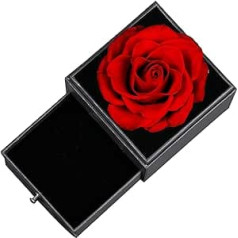 TAIYOU Eternal Real Rose Gift Box with Chain Preserved Rose Gift Box with 925 Sterling Silver Sun Women's Necklace for Her Valentine's Day Mother's Day Anniversary Birthday - Dark Red