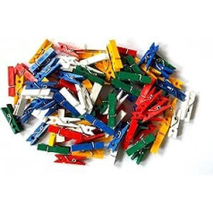 ERRO 35 mm Colourful Clothes Pegs, Set of 100 - Craft Accessories, Clips, Craft Supplies, Crafts, Do It Yourself, Craft Items for Child Care, Art Lessons