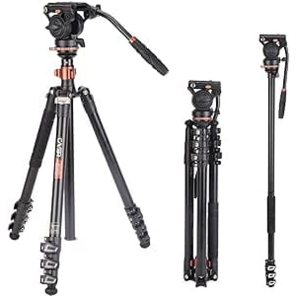 Professional Video Tripod Monopod Kit, Cayer AF2451 67 Inch Aluminium Telescopic Flip Lock Tripod with H4 Fluid Head and Removable Tripod Base for DSLR Cameras and Camcorders