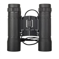 Graceever 2022 Design 10 x 25 Binoculars for Children and Adults, Small Compact Lightweight Pocket Binoculars for Travel, Stargazing, Concerts, Sports (Black/GR-147)