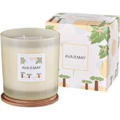 AVA & MAY Madagascar Large Scented Candle (500 g) - Vegan Candle in Glass with Intoxicating Fragrances of Bergamot, Coconut and Vanilla - Handmade Candle with Holiday Feel